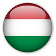 Hungarian flag button Hungarian flag button