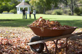 Photo: Family standing in garden, focus on wheelbarrow full of autumn leaves in foreground, side view Family standing in garden, focus on wheelbarrow full of autumn leaves in foreground, side view