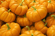 Large pile of pumpkins, close-up (full frame)