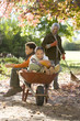 Photo: Boy and girl (7-9) sitting in wheelbarrow in garden, grandmother collecting autumn leaves, smiling, portrait Boy and girl (7-9) sitting in wheelbarrow in garden, grandmother collecting autumn leaves, smiling, portrait