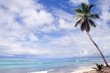 plage antillaise plage antillaise