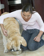 A young girl feeding her dog