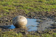 rugby