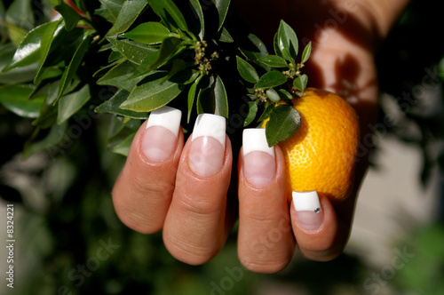 nailart french nailart french