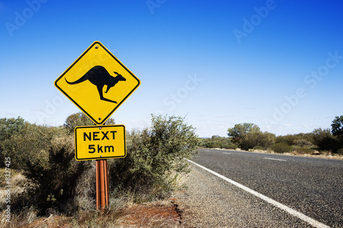 Photo: Kangaroo crossing Australia Kangaroo crossing Australia