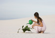 A woman watering a plant in the sand