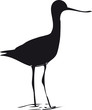 oiseau1