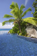 Photo: Swimming pool and palm trees of the Banyan Tree Hotel, Anse Intendance, Mahe', Seychelles Swimming pool and palm trees of the Banyan Tree Hotel, Anse Intendance, Mahe', Seychelles