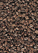 café café