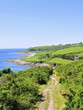 South Devon coast South Devon coast