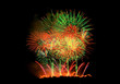 Fireworks Lighting up the Sky