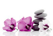 Photo : pebble with ibiscus flower pebble with ibiscus flower
