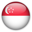 Singapore flag button