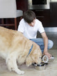 A young boy feeding his dog