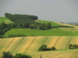 Gers, campagne vallonnée