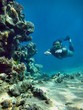 Freediving in the red sea