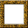 Yellow Black Crystal Frame