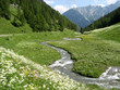 Vallée alpine