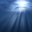 Underwater scene Underwater scene