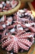 Japanisches Essen: Tintenfisch für Takoyaki