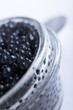 Black caviar Black caviar