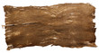 Bark