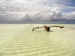 Traditional Dhow Boat in Zanzibar, Indian Ocean