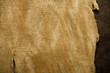bark texture