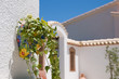 Spanish Terrace 2