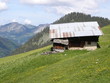 Vieille grande dans le Chablais - Chatel (Haute-Savoie)