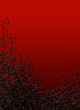 fond gribouillis rouge