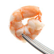 Shrimp Isolated