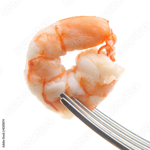 Shrimp Isolated