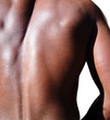 TorsoDosbronzo 7 TorsoDosbronzo 7
