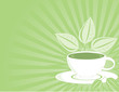 Green tea background Green tea background