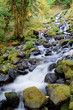 Starvation Creek Falls