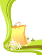 Shopping Bag