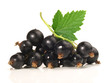 Schwarze Johannisbeeren