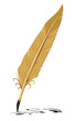 vector feather old writing tool