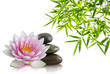 Composition Zen