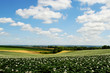 composition axonaise composition axonaise