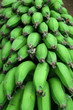 Close-up of a bunch of green bananas
