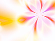 Beautiful flower
