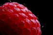 raspberry