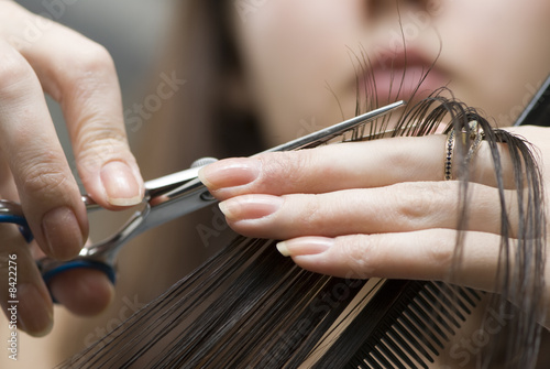 Photo: Haircutting Haircutting