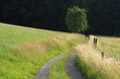 way