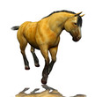 3D beautiful horse