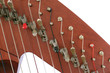 Harps Levers