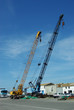 grue