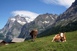 Schweiz